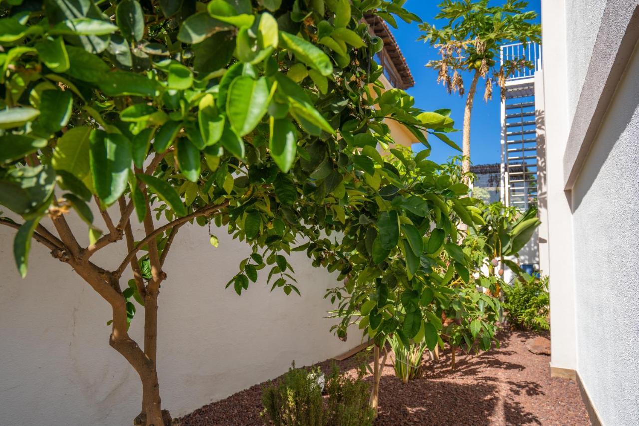 La Laja With 5 Bedrooms And Sea View Villa Callao Salvaje